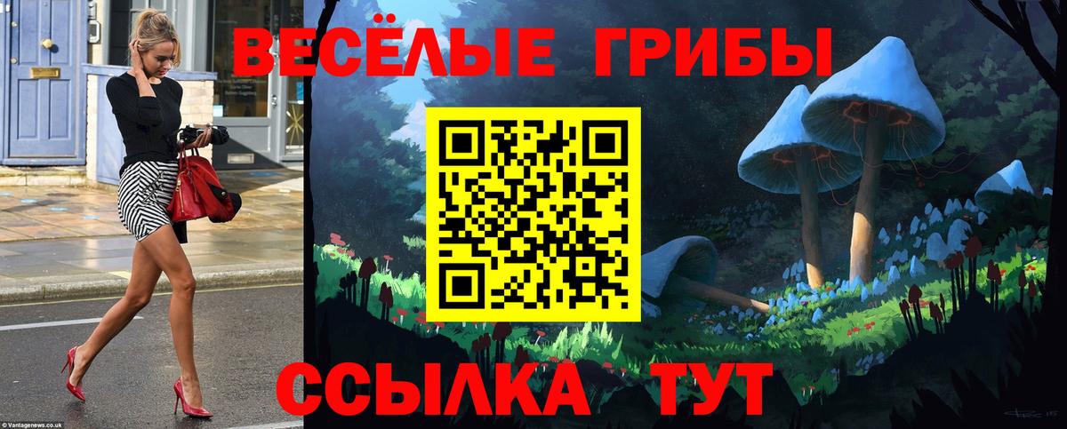 Псилоцибиновые грибы Psilocybe  Вход с VPN  Псилоцибиновые грибы MAGIC MUSHROOMS  Кудымкар 